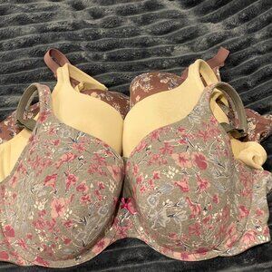 3 Cacique Bras (44D)